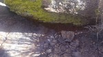 photo thumbnail #10
