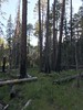 photo thumbnail #4