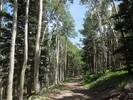 photo thumbnail #9