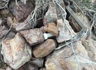 photo thumbnail #5