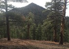photo thumbnail #15