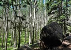 photo thumbnail #4