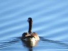 photo thumbnail #10