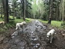 photo thumbnail #2