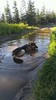 photo thumbnail #8