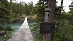 photo thumbnail #12