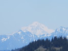 photo thumbnail #12