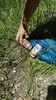 photo thumbnail #5
