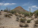 photo thumbnail #7