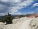 photo thumbnail #4