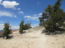 photo thumbnail #10
