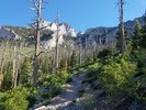 photo thumbnail #5