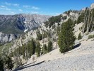 photo thumbnail #8