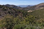 photo thumbnail #7