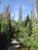 photo thumbnail #10