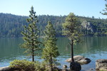 photo thumbnail #3