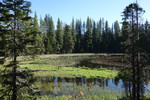 photo thumbnail #8