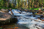 photo thumbnail #4