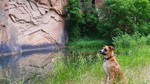 photo thumbnail #3