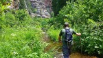 photo thumbnail #4