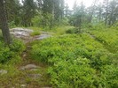 photo thumbnail #6