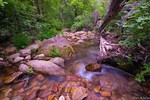 photo thumbnail #1