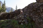 photo thumbnail #8