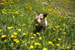 photo thumbnail #15