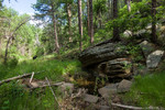 photo thumbnail #5