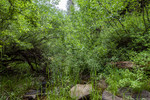 photo thumbnail #14