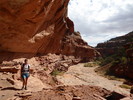 photo thumbnail #12