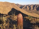 photo thumbnail #1
