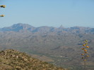 photo thumbnail #2