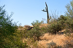 photo thumbnail #6