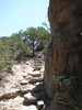 photo thumbnail #13