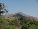 photo thumbnail #1