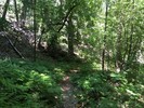 photo thumbnail #4