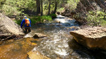 photo thumbnail #8