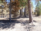 photo thumbnail #8