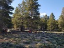 photo thumbnail #6