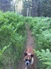 photo thumbnail #1