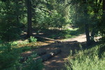 photo thumbnail #6