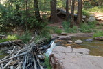 photo thumbnail #8