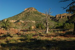 photo thumbnail #4