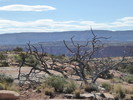 photo thumbnail #10