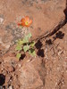 photo thumbnail #13