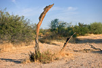 photo thumbnail #3
