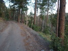 photo thumbnail #3
