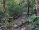 photo thumbnail #10