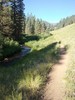 photo thumbnail #10